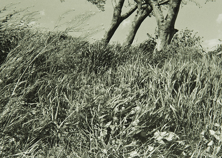 c0381632_23220837.jpg