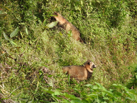 f0118332_20561976.jpg