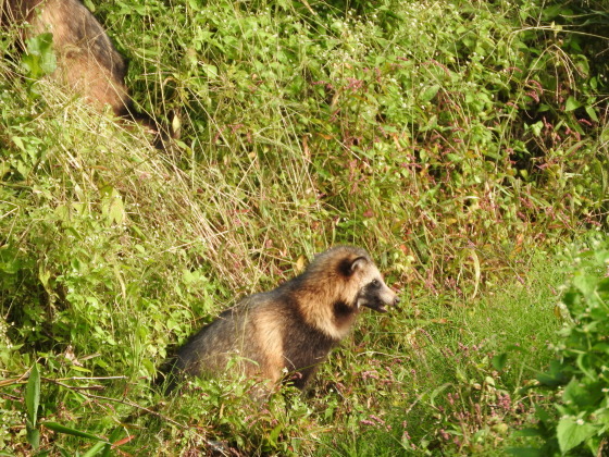 f0118332_20563459.jpg
