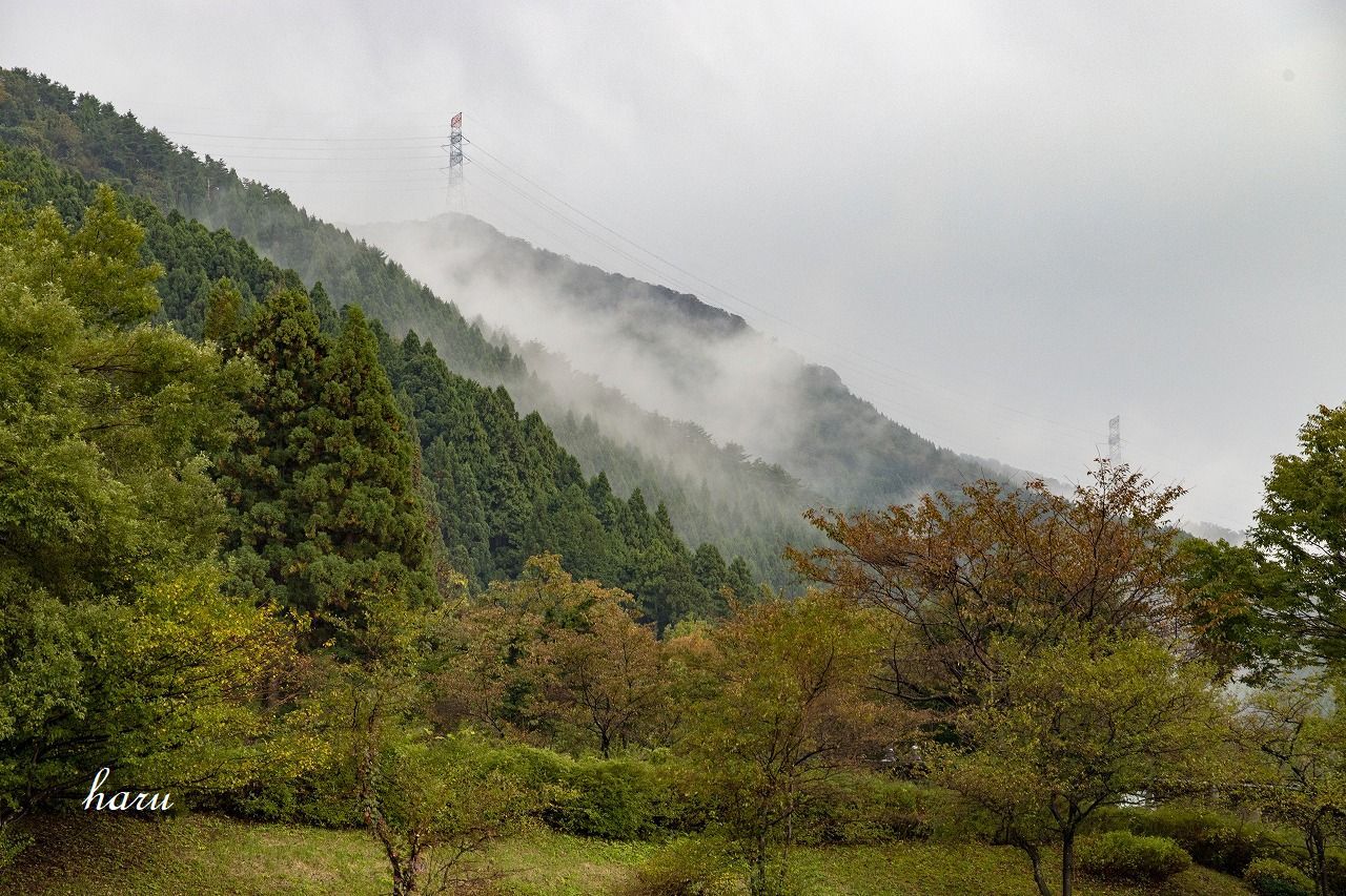 f0297537_10174544.jpg