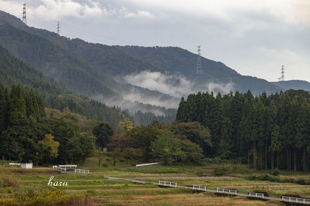 f0297537_10175078.jpg