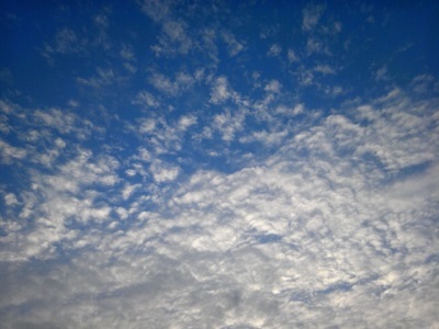 a0163738_21002262.jpg