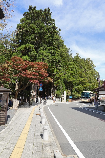 a0242438_21435913.jpg