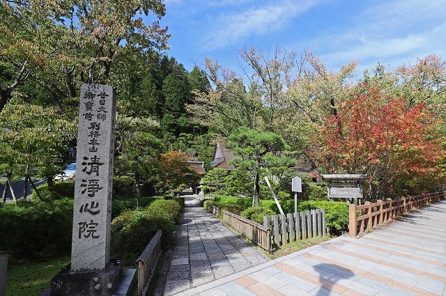 a0242438_21435922.jpg