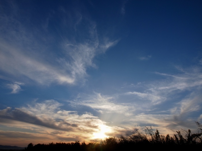 c0281841_23210411.jpg