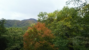 b0080342_19544504.jpg