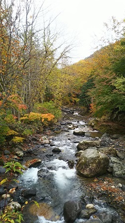 b0080342_19555148.jpg