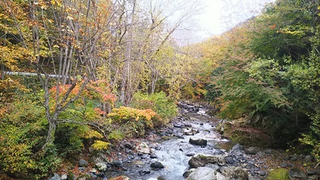 b0080342_19564023.jpg