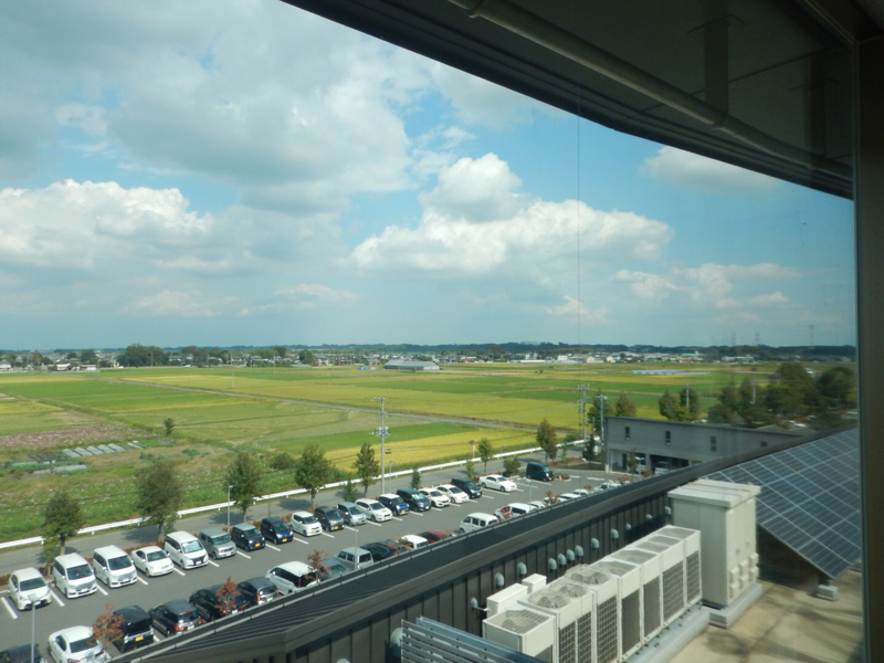 薔薇は咲いているか！？ 最後…の…一歩手前（笑）_b0136045_14424686.jpg