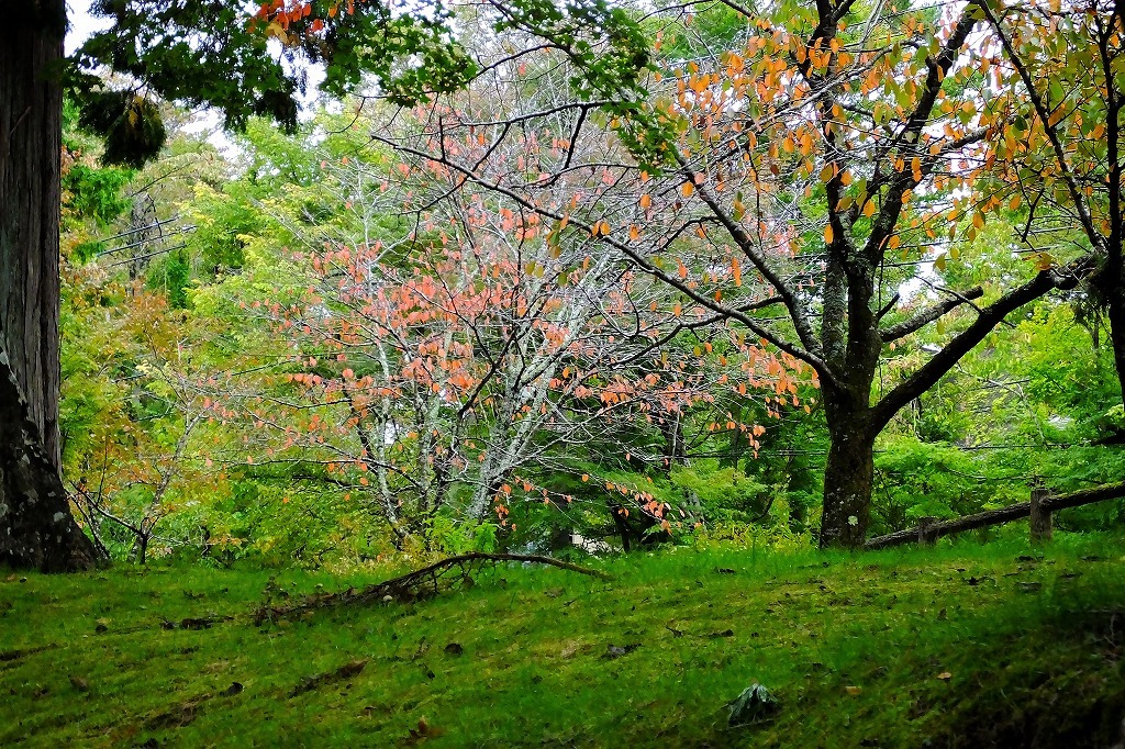 b0236251_12580448.jpg
