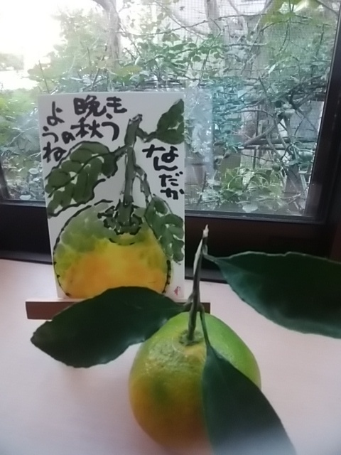 a0212061_16285389.jpg