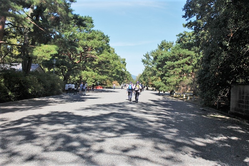 b0044663_22122556.jpg