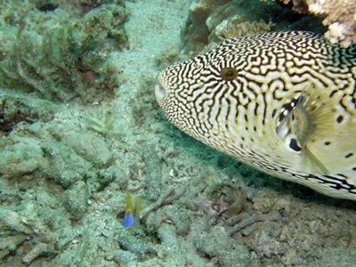 b0033573_18512504.jpg
