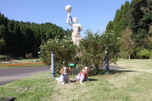 e0114977_10342243.jpg