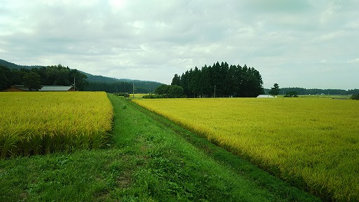 e0020682_18312776.jpg