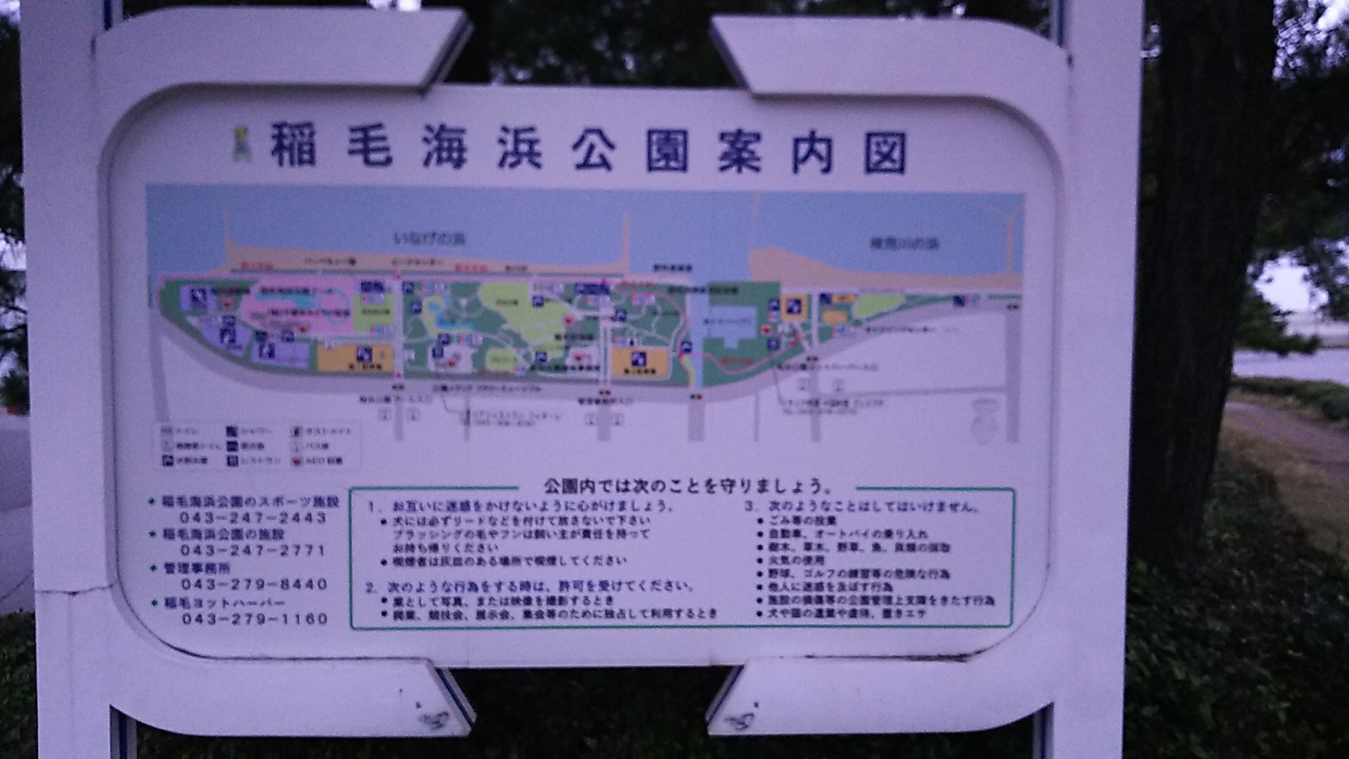 稲毛海浜公園侵攻作戦!_f0310282_22002523.jpeg