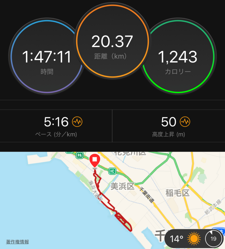 稲毛海浜公園侵攻作戦!_f0310282_22004305.jpeg