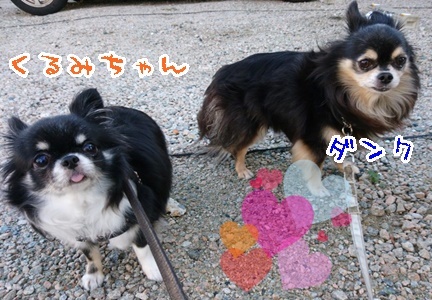 仲良くお散歩_f0357682_20453031.jpeg