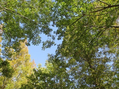 a0142083_08573152.jpg