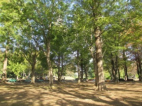 a0142083_08574106.jpg