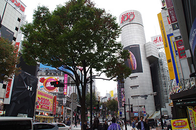 b0056983_16385616.jpg