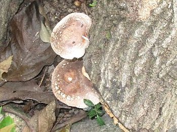 f0003283_18424707.jpg