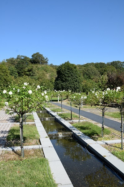 花フェスタ記念公園にて「講演＆ローズガーデンツアーガイド」をさせて頂きました。_d0099791_00521701.jpg