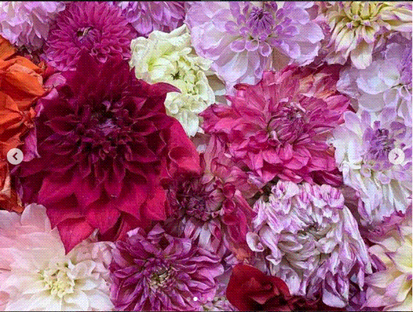 e0199691_01061924.gif
