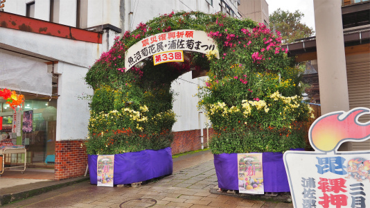 準備が進む菊まつり会場_c0336902_20044691.jpg