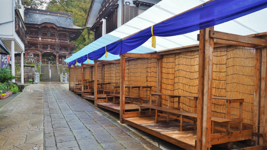 準備が進む菊まつり会場_c0336902_20045441.jpg