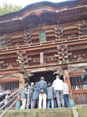 準備が進む菊まつり会場_c0336902_20052323.jpg