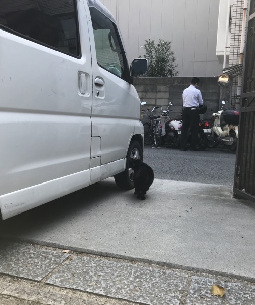 b0133206_15023696.jpeg