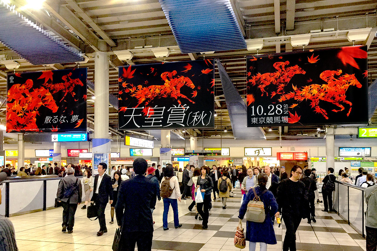 世界でひとつの・・・ 10月23日(火) 6547_b0069507_03582198.jpg
