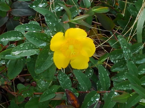 e0360409_12300037.jpg