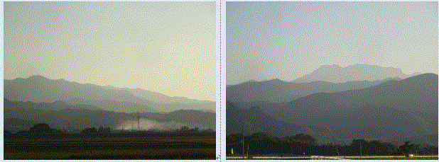 f0231709_21182310.gif
