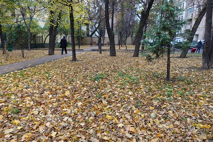 a0151913_10184611.jpg