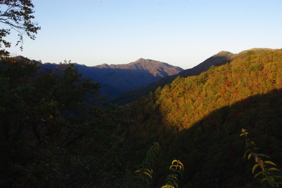 No 163  快晴の次郎笈紅葉めぐり（2018年10月21日）_d0341514_10063207.jpg