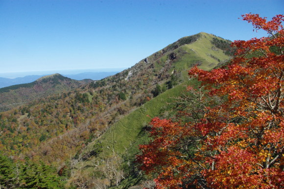 No 163  快晴の次郎笈紅葉めぐり（2018年10月21日）_d0341514_10295328.jpg