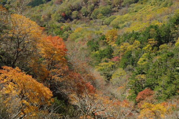 No 163 快晴の次郎笈紅葉めぐり(2018年10月21日)_d0341514_15224097.jpg