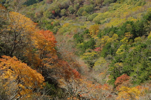 No 163  快晴の次郎笈紅葉めぐり（2018年10月21日）_d0341514_15224097.jpg