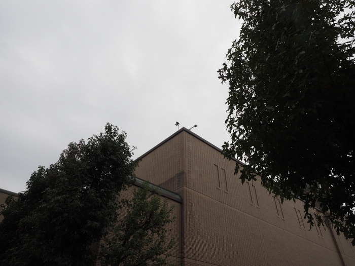佐伯区民文化センター&五日市中央公園_c0116915_00175223.jpg