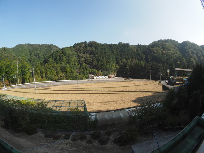 午後からの青空_c0116915_23395677.jpg