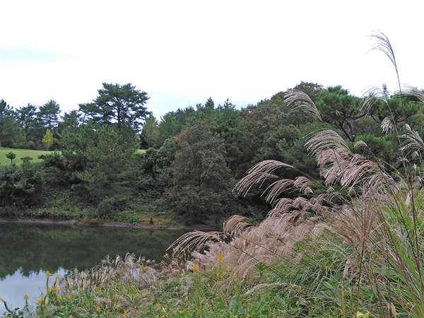 e0083517_01583110.jpg