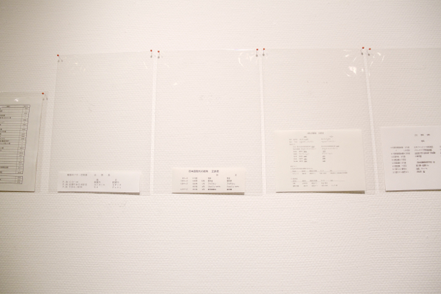 あびてあびて撮りまくれ 「 私の〈正・誤・表〉展 」【 後編 】_f0368718_21343783.jpg