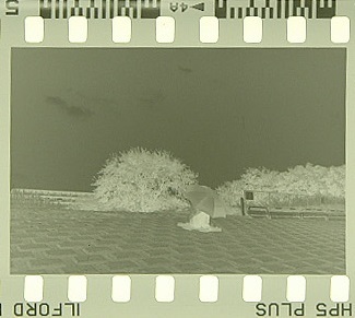 c0381632_19315798.jpg