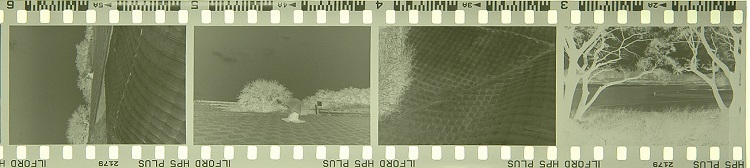 c0381632_19320508.jpg