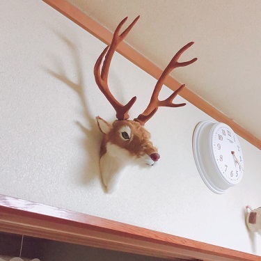 c0367433_12023089.jpeg