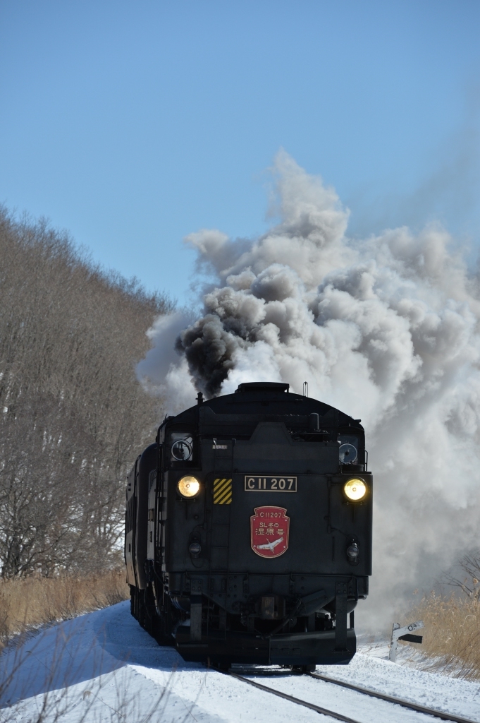 鉄道写真_f0050534_12385031.jpg