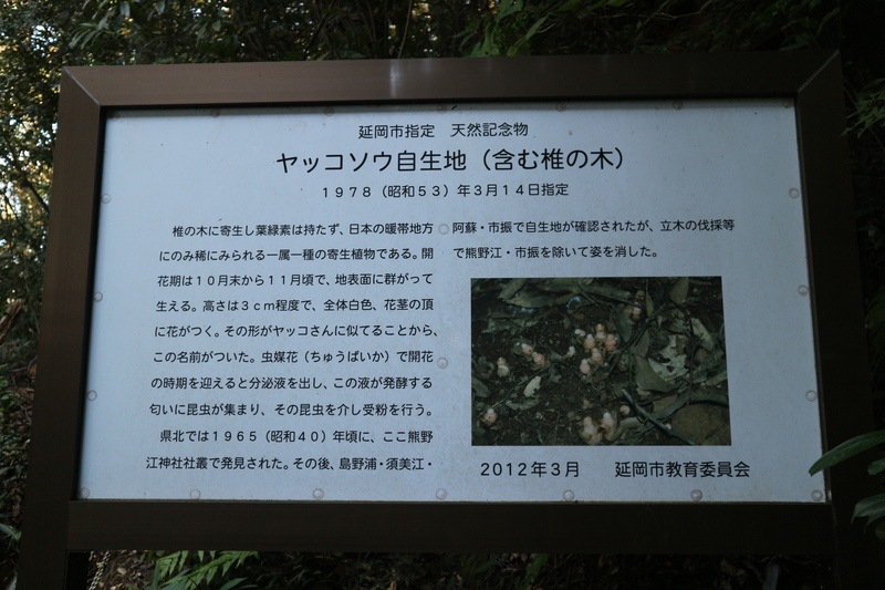 e0272335_163252.jpg