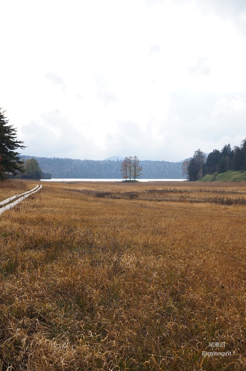 f0142141_826674.jpg